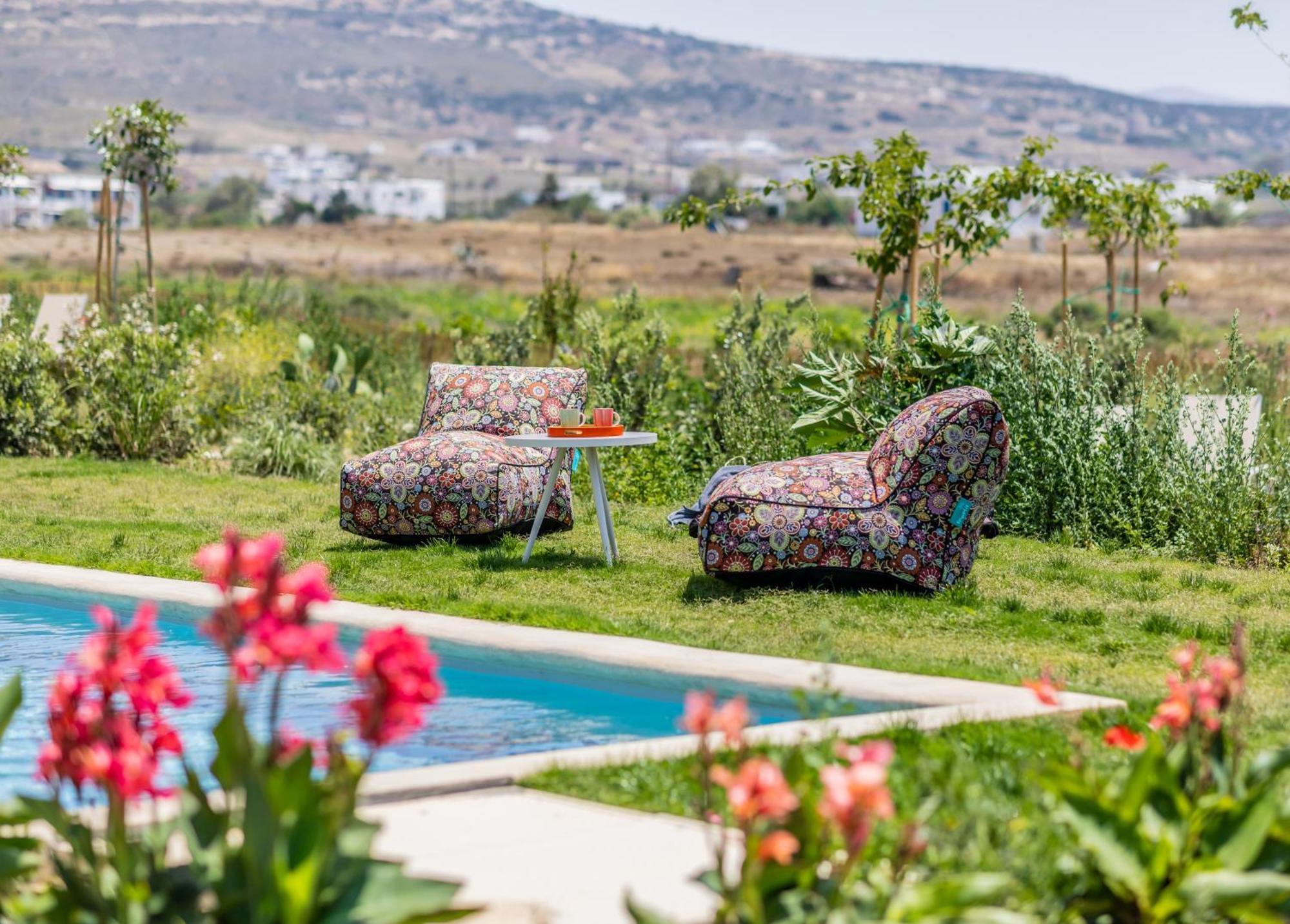 Plioni Villas & Suites Mikri Vigla Zewnętrze zdjęcie