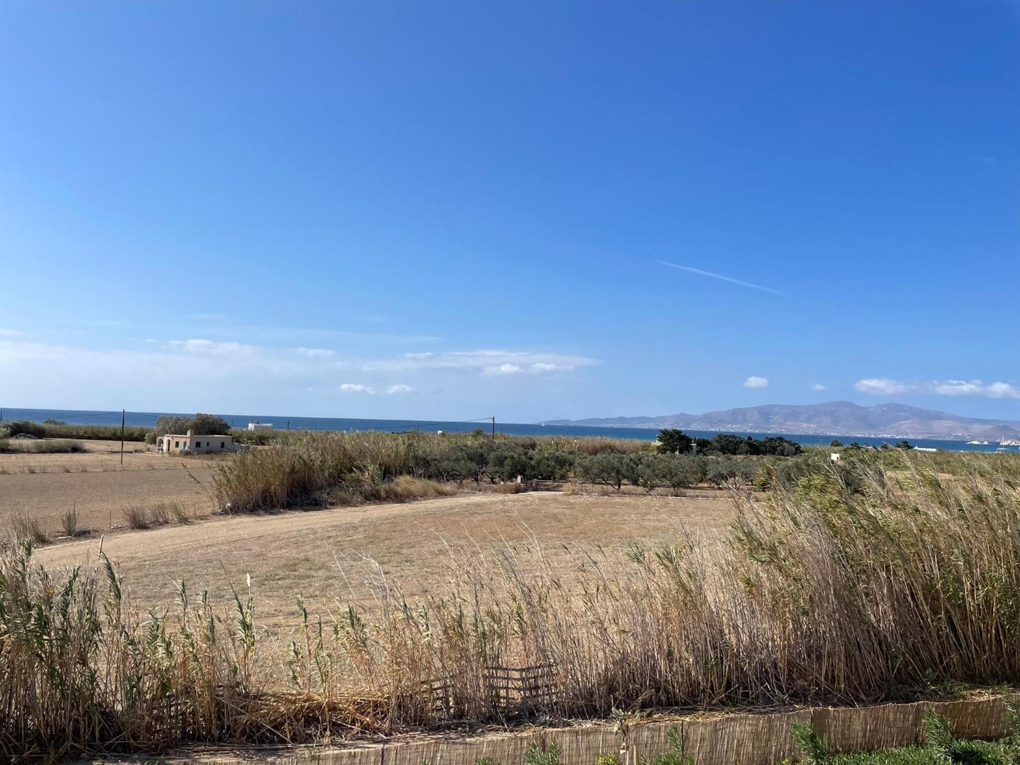Plioni Villas & Suites Mikri Vigla Pokój zdjęcie